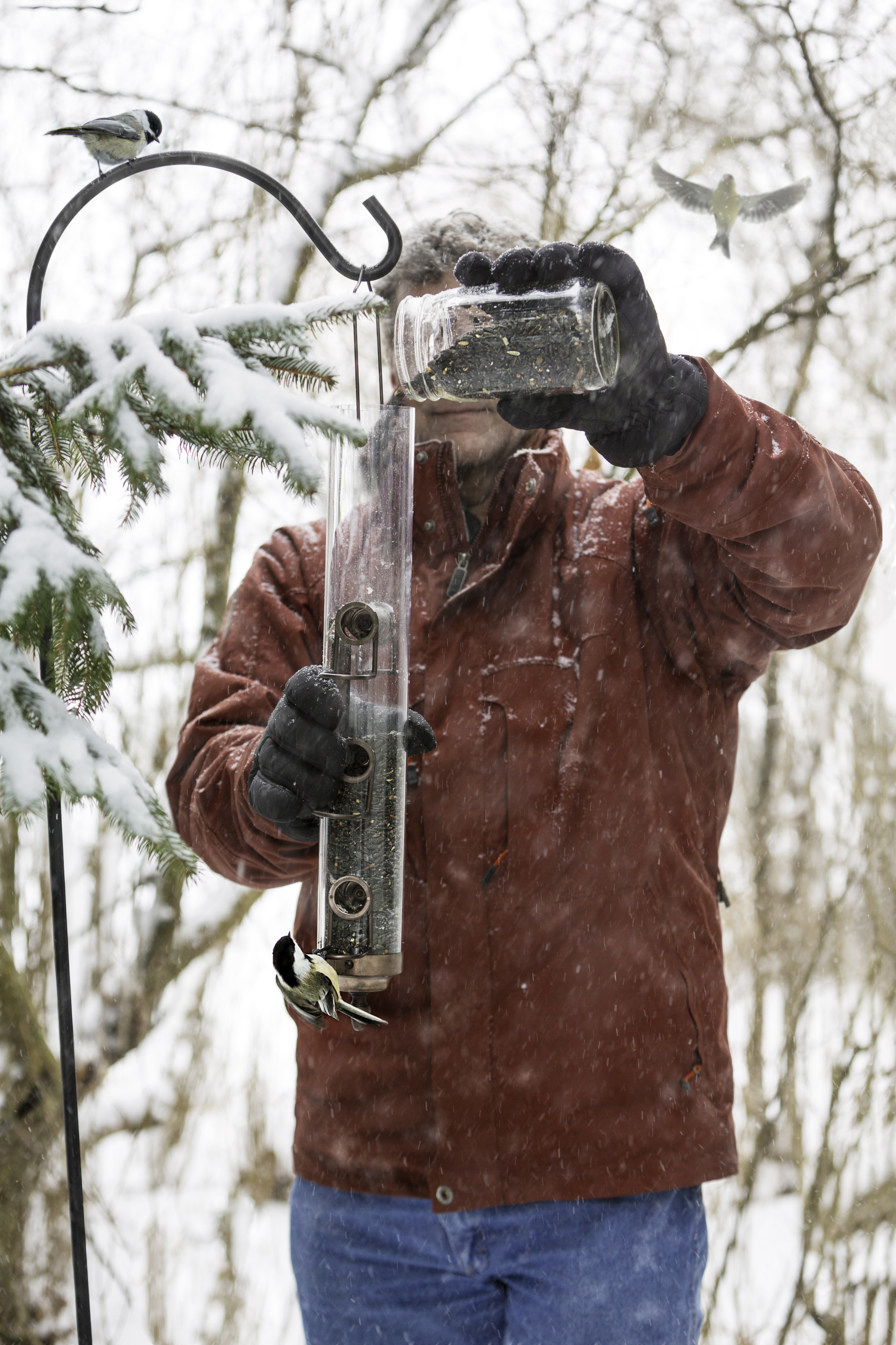 Birds wait for man to fill birdfeeder